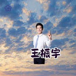 王振宇